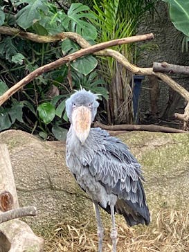 那須どうぶつ王国に投稿された画像（2022/5/15）