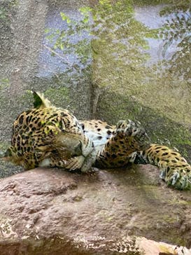 那須どうぶつ王国に投稿された画像（2022/5/15）