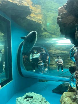 しながわ水族館に投稿された画像（2022/5/15）