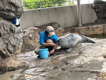 しながわ水族館に投稿された画像（2022/5/15）