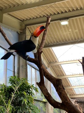 那須どうぶつ王国に投稿された画像（2022/5/15）