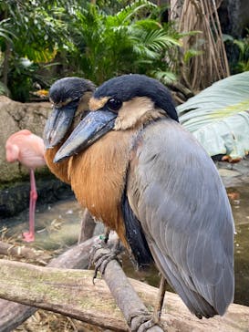 那須どうぶつ王国に投稿された画像（2022/5/15）