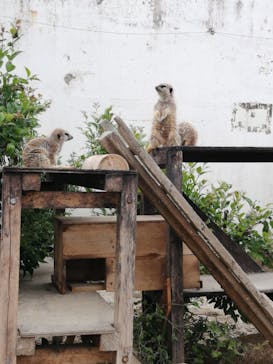 東武動物公園に投稿された画像（2022/5/15）