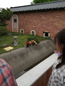 東武動物公園に投稿された画像（2022/5/15）