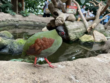 神戸どうぶつ王国に投稿された画像（2022/5/15）