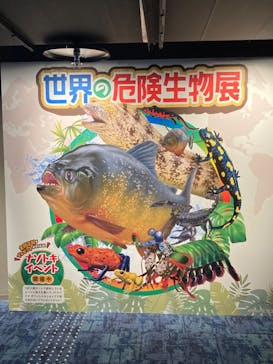 カワスイ 川崎⽔族館に投稿された画像（2022/5/15）