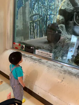 天王寺動物園に投稿された画像（2022/5/15）