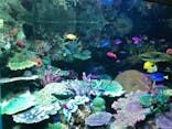 サンシャイン水族館に投稿された画像（2022/5/15）