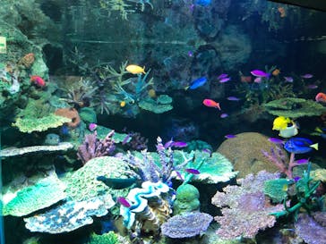 サンシャイン水族館に投稿された画像（2022/5/15）