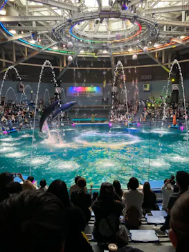 マクセル アクアパーク品川に投稿された画像（2022/5/15）
