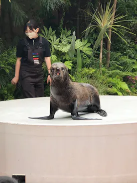 マクセル アクアパーク品川に投稿された画像（2022/5/15）