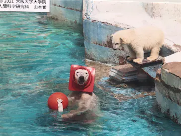 天王寺動物園に投稿された画像（2022/5/15）