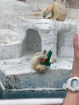 天王寺動物園に投稿された画像（2022/5/15）