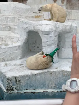 天王寺動物園に投稿された画像（2022/5/15）