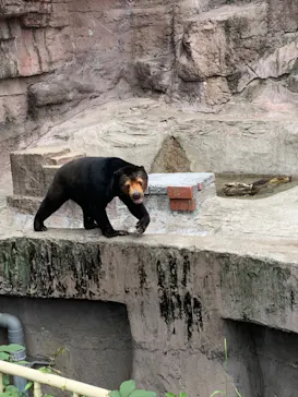天王寺動物園に投稿された画像（2022/5/15）