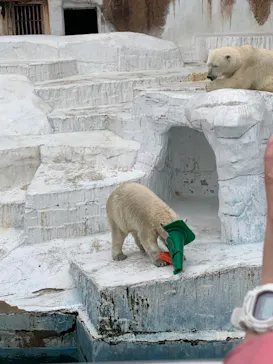 天王寺動物園に投稿された画像（2022/5/15）