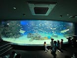 サンシャイン水族館に投稿された画像（2022/5/15）