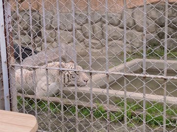 東武動物公園に投稿された画像（2022/5/15）