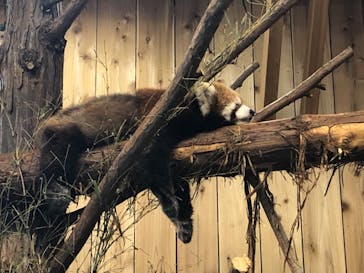 伊豆シャボテン動物公園に投稿された画像（2022/5/15）