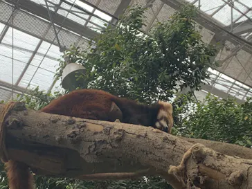 神戸どうぶつ王国に投稿された画像（2022/5/15）