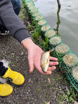 千葉こどもの国 キッズダムに投稿された画像（2022/5/15）