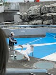 大分マリーンパレス水族館 「うみたまご」に投稿された画像（2022/5/15）