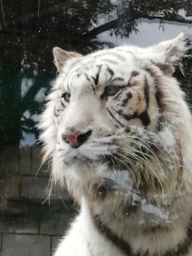 東武動物公園に投稿された画像（2022/5/15）