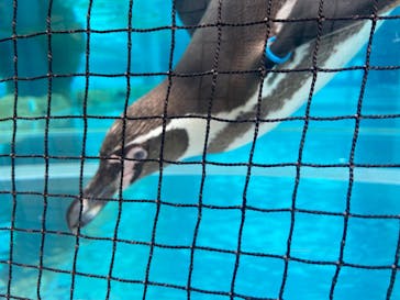 九十九島動植物園森きららに投稿された画像（2022/5/15）