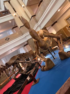 国立科学博物館　特別企画展「ポケモン化石博物館」に投稿された画像（2022/5/15）