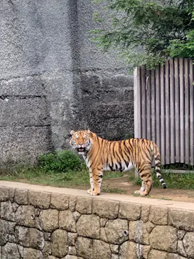 天王寺動物園に投稿された画像（2022/5/15）