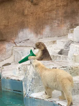 天王寺動物園に投稿された画像（2022/5/15）