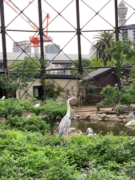 天王寺動物園に投稿された画像（2022/5/15）