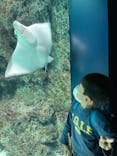 サンシャイン水族館に投稿された画像（2022/5/15）