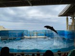 新江ノ島水族館に投稿された画像（2022/5/15）
