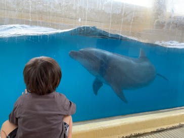 新江ノ島水族館に投稿された画像（2022/5/15）