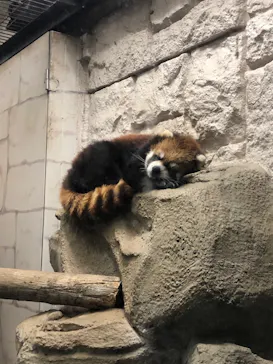 天王寺動物園に投稿された画像（2022/5/15）