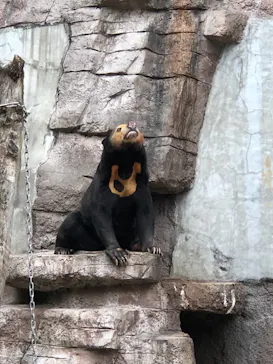 天王寺動物園に投稿された画像（2022/5/15）