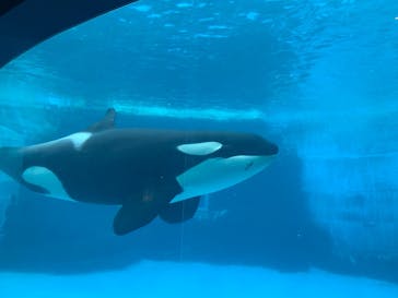 名古屋港水族館に投稿された画像（2022/5/15）