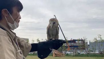 神戸どうぶつ王国に投稿された画像（2022/5/15）