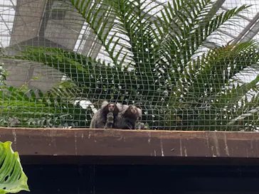 神戸どうぶつ王国に投稿された画像（2022/5/15）