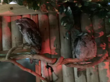 神戸どうぶつ王国に投稿された画像（2022/5/15）