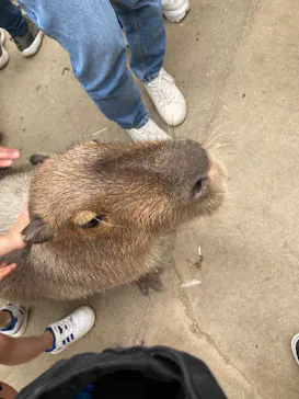 神戸どうぶつ王国に投稿された画像（2022/5/15）