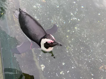 神戸どうぶつ王国に投稿された画像（2022/5/15）