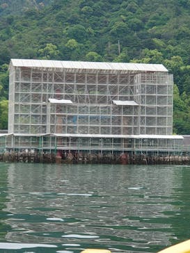 島田水産　かき小屋に投稿された画像（2022/5/15）