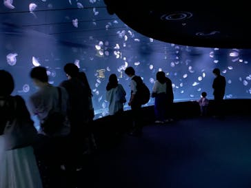 サンシャイン水族館に投稿された画像（2022/5/15）