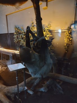 カワスイ 川崎⽔族館に投稿された画像（2022/5/15）