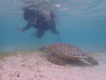 宮古島 ADVENTURE PiPi（ミヤコジマ アドベンチャー ピピ）に投稿された画像（2022/5/15）