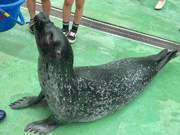 ゼロ距離水族館 伊勢シーパラダイスに投稿された画像（2022/5/15）
