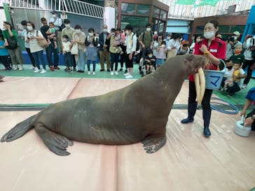 ゼロ距離水族館 伊勢シーパラダイスに投稿された画像（2022/5/15）