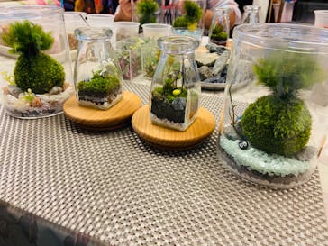 カルチャースクールいろはに投稿された画像（2022/5/15）